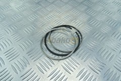 Piston rings  TCD2012L06