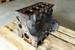 Crankcase  TCD2012L04