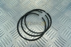 Piston rings  BF4M1013